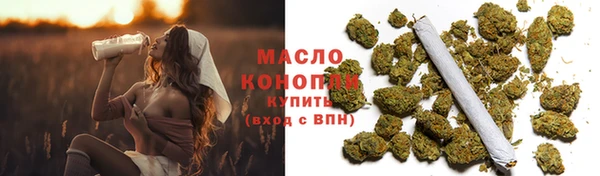спиды Вяземский