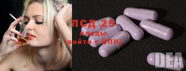спиды Вяземский