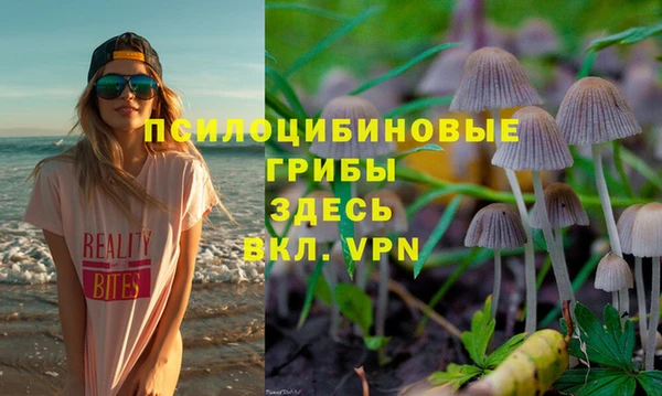 спиды Вязьма