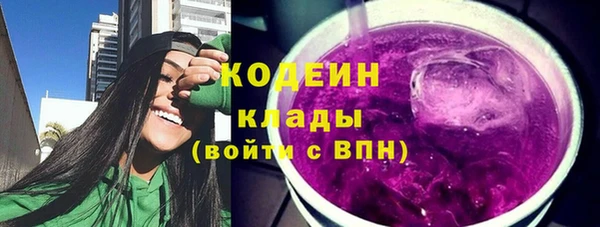 спиды Вяземский