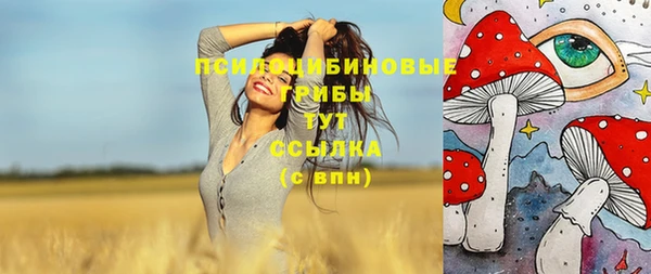 спиды Вязьма