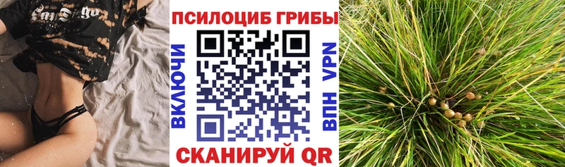KRAKEN ТОР  Рязань  Галлюциногенные грибы ЛСД 